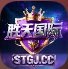 胜天国际